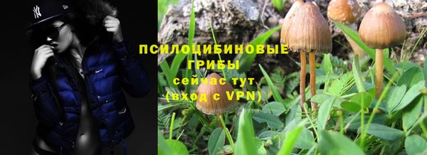 герыч Алзамай