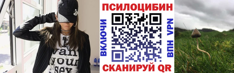 Псилоцибиновые грибы MAGIC MUSHROOMS  наркота  площадка официальный сайт  Сасово 